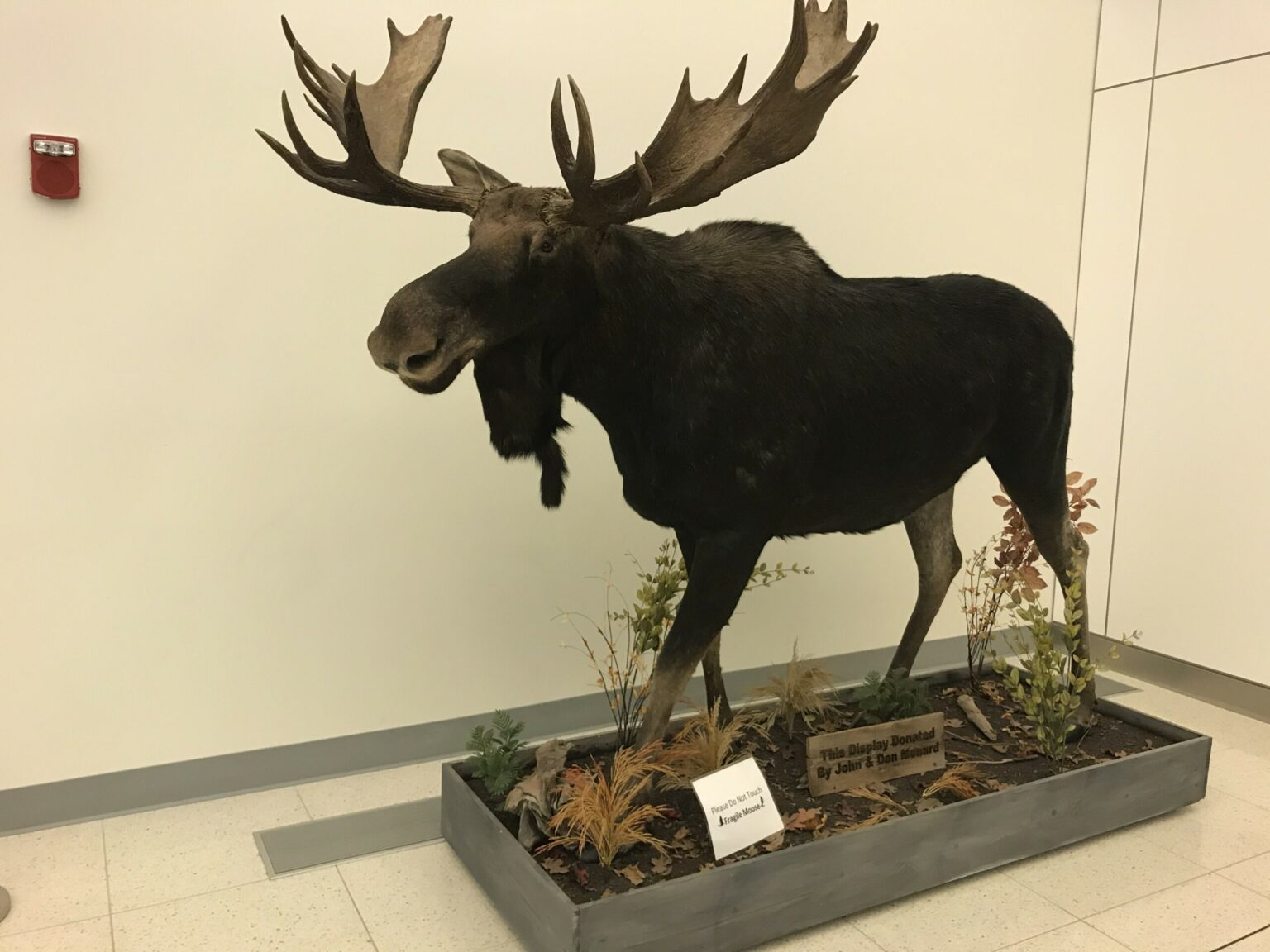 Car Rental Portland International Jetport Airport Blog