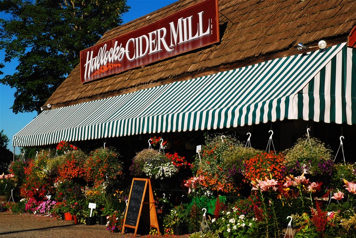 Cider Mill in Long Island