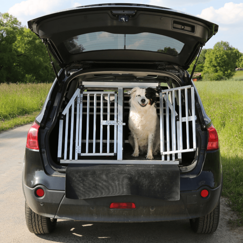 image of a happy dog secured in the back of a car and wanting to travel on a pet-friendly road trip