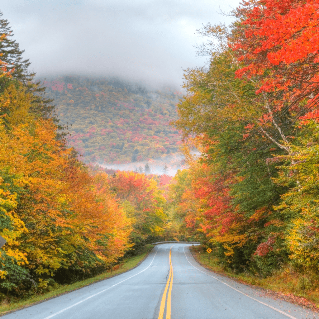 the Kancamagus Highway, New Hampshire representing a Fall Foliage Road Trip