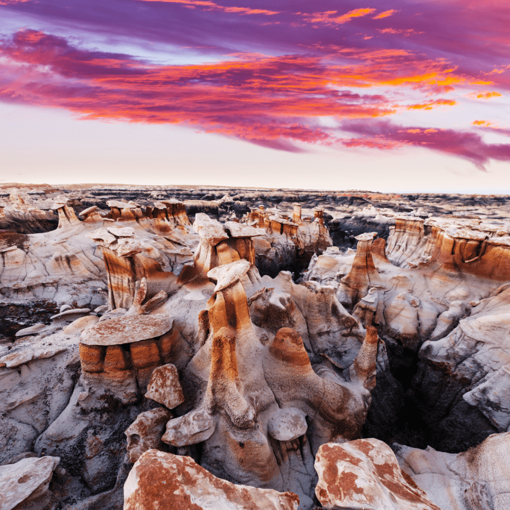 Bisti badlands 