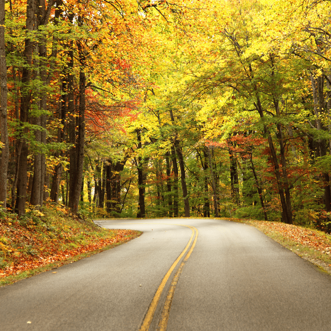 The blue ridge parkway in fall representing fall foilaige road trips